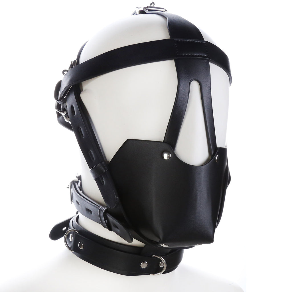 Full-Face Mask BM53