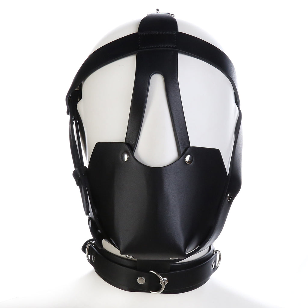 Full-Face Mask BM53