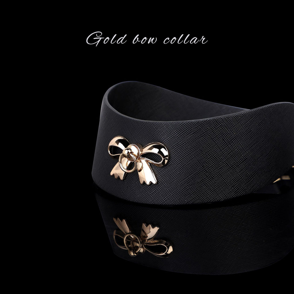Gold PU Leather Posture Collar and Leash BM101