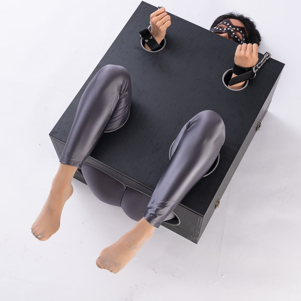 Full-Body Stocks Restraint Box BF41