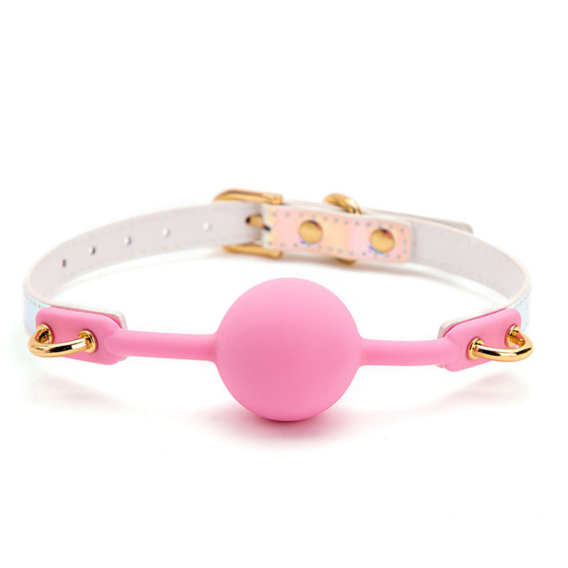 Pink Rainbow Holographic Ball Gag BM75