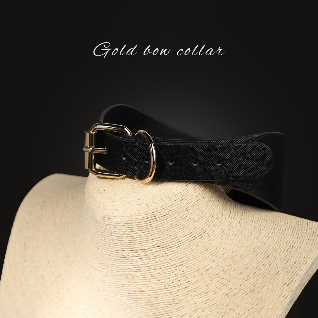 Gold PU Leather Posture Collar and Leash BM101