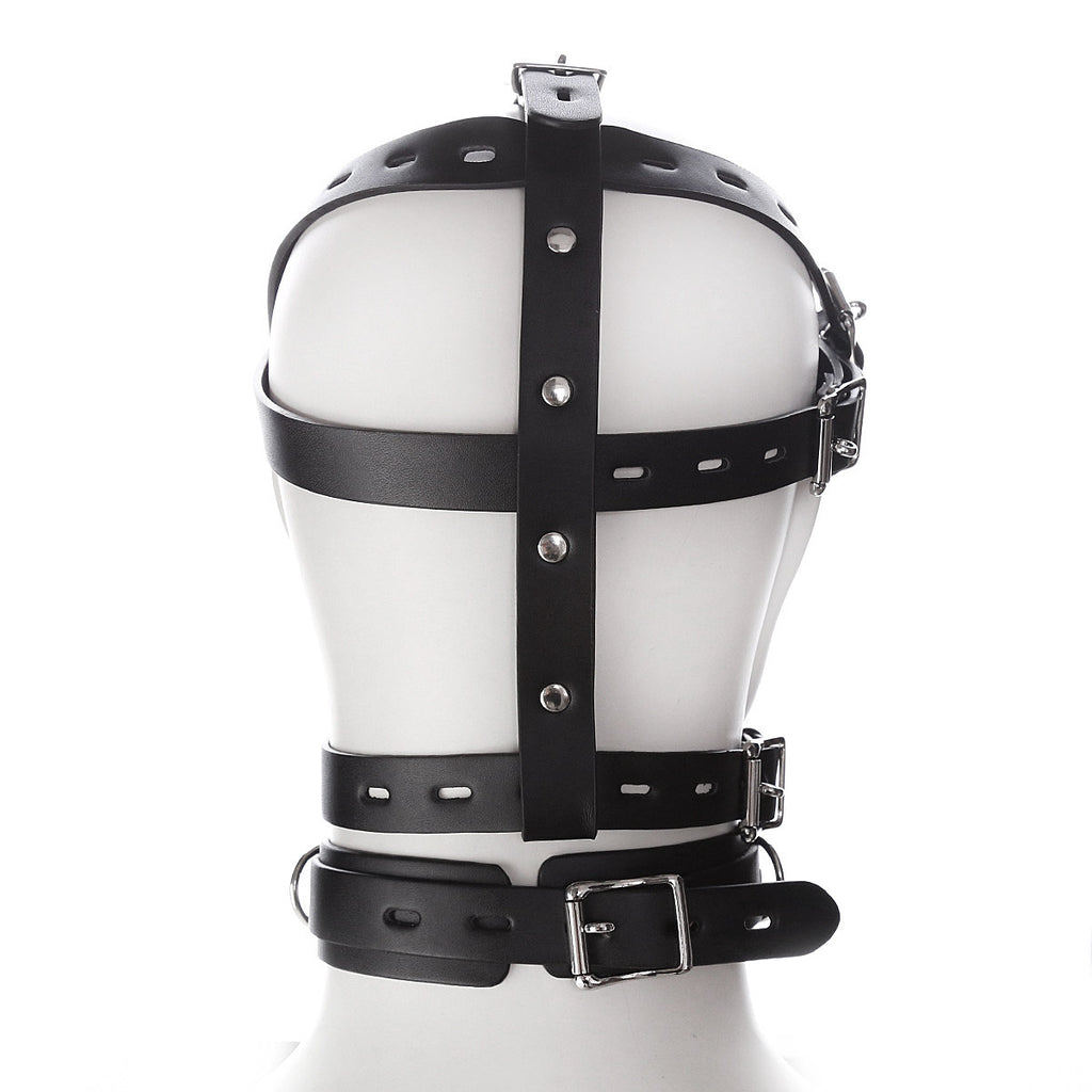 Full-Face Mask BM53