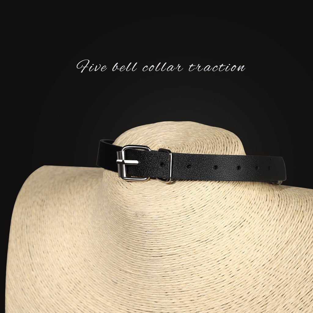 Bell Sub Collar and Leash Set BM103