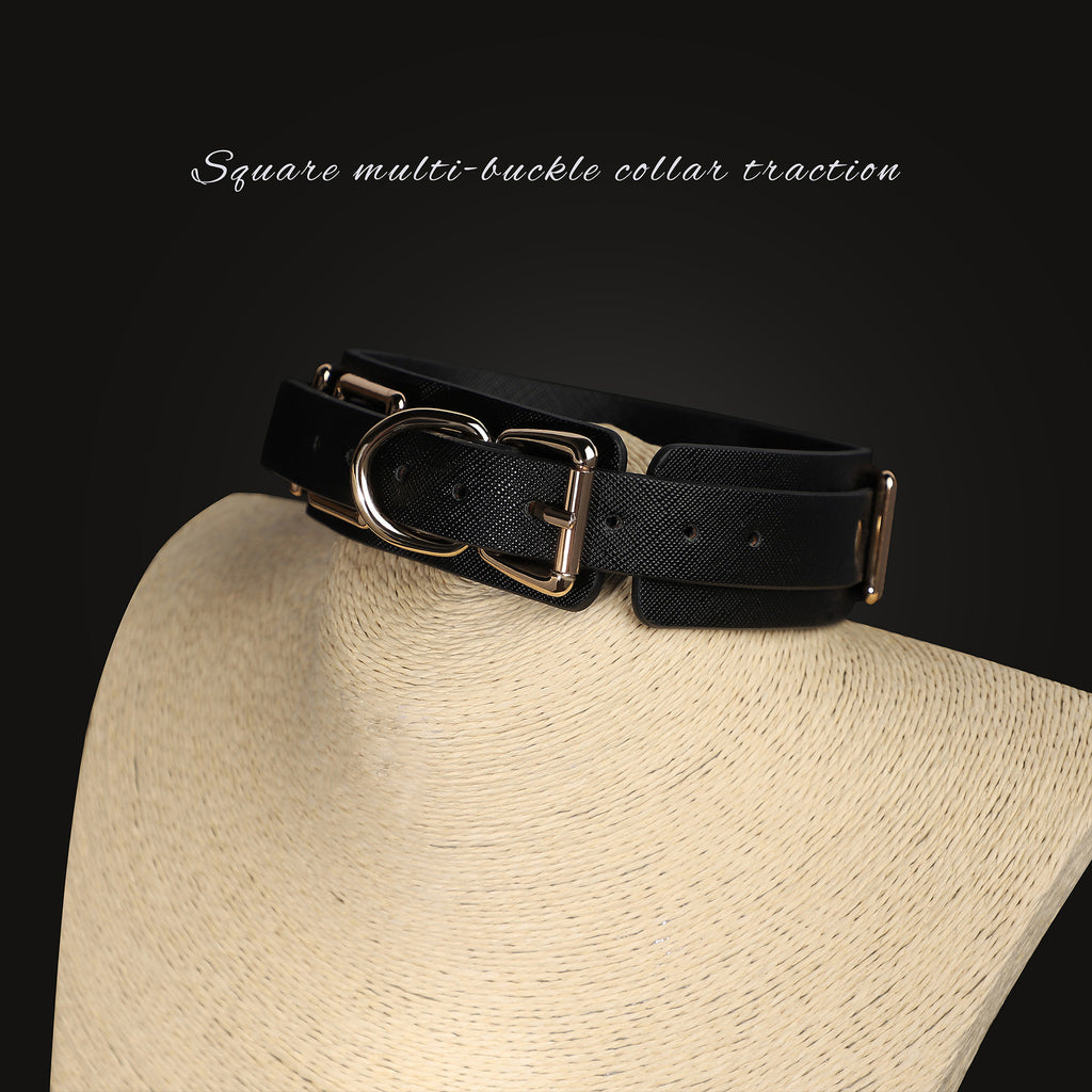 Wide Multi-Buckle Daytime Collar and Leash Set BM102