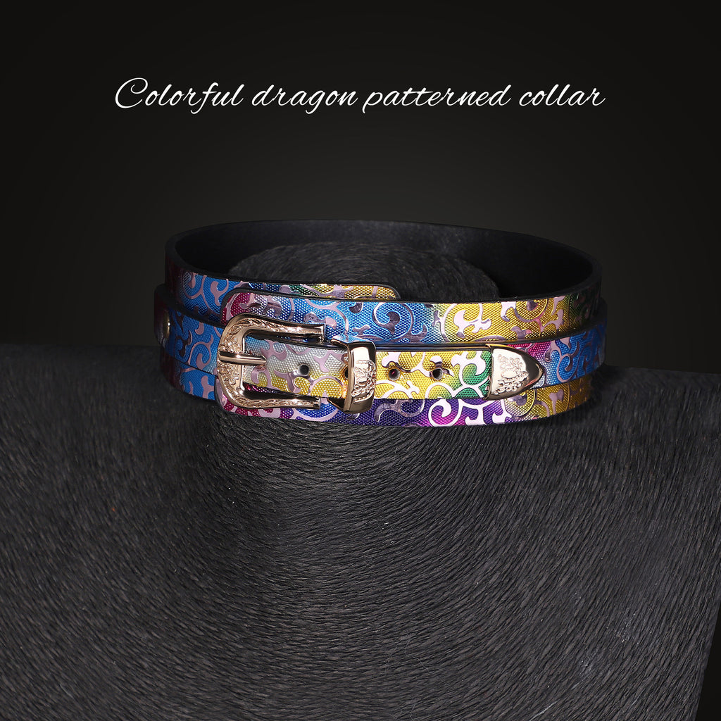 Iridescent Wide Day Collar and Leash Set BM105