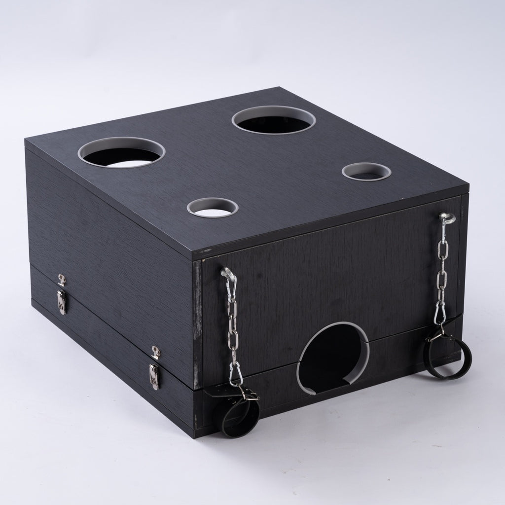 Full-Body Stocks Restraint Box BF41