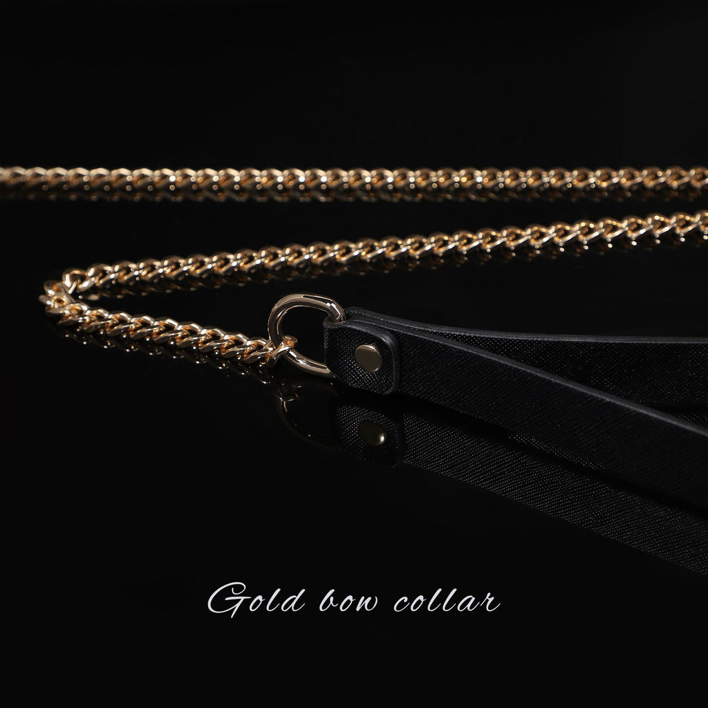Gold PU Leather Posture Collar and Leash BM101
