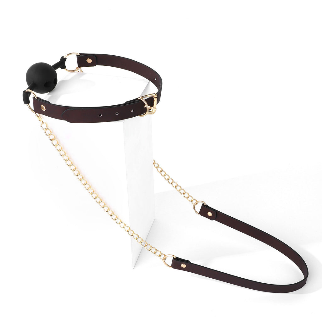Thermochromic BDSM Ball Gag with Detachable Leash BM127