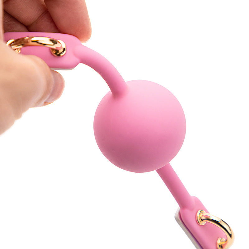 Pink Rainbow Holographic Ball Gag BM75