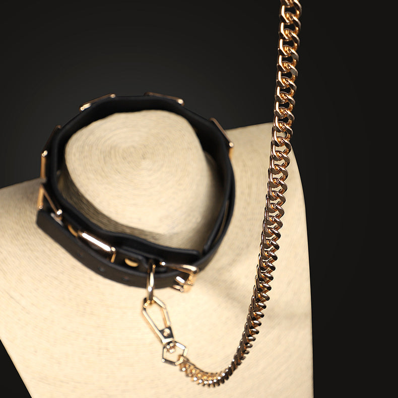 Wide Multi-Buckle Daytime Collar and Leash Set BM102