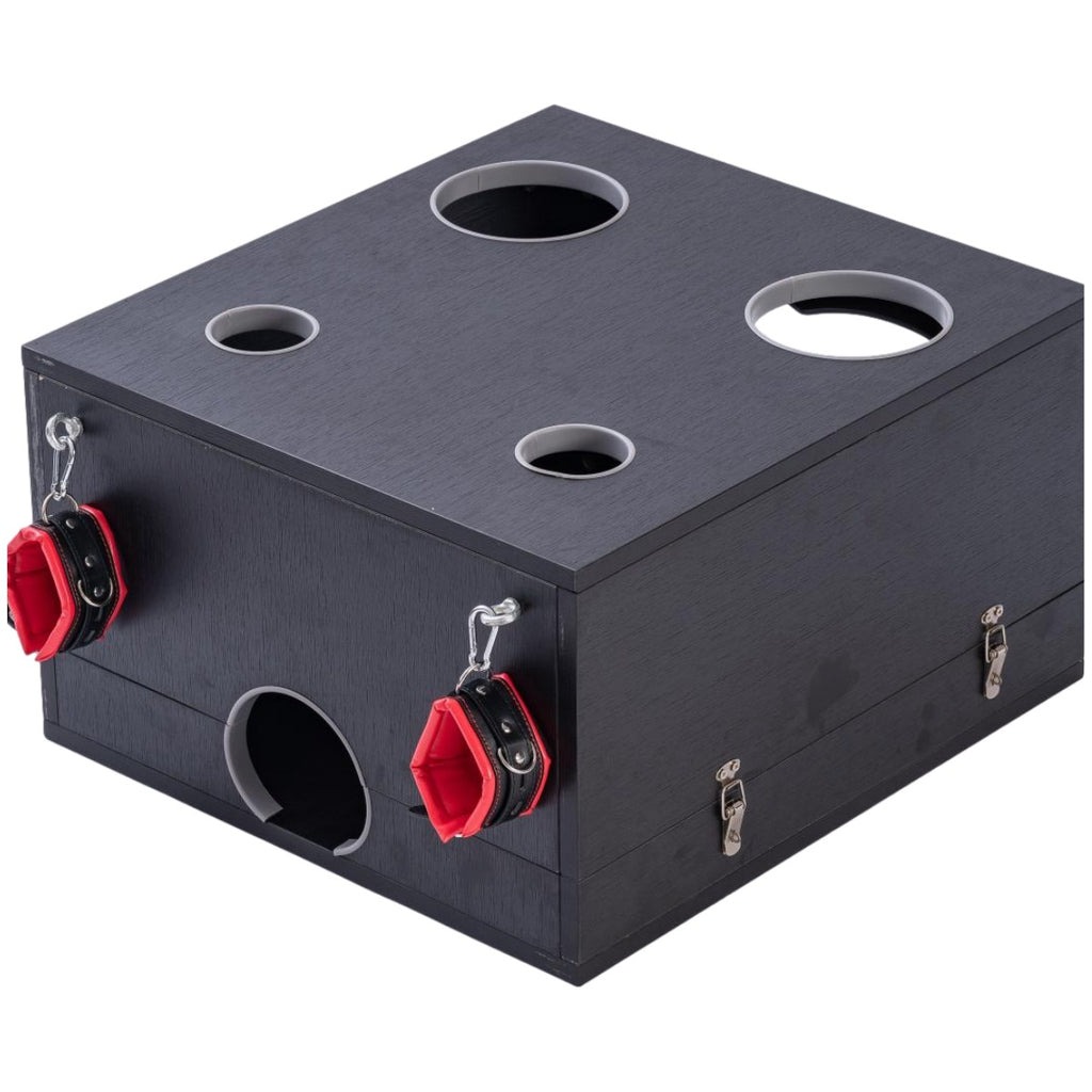 Full-Body Stocks Restraint Box BF41
