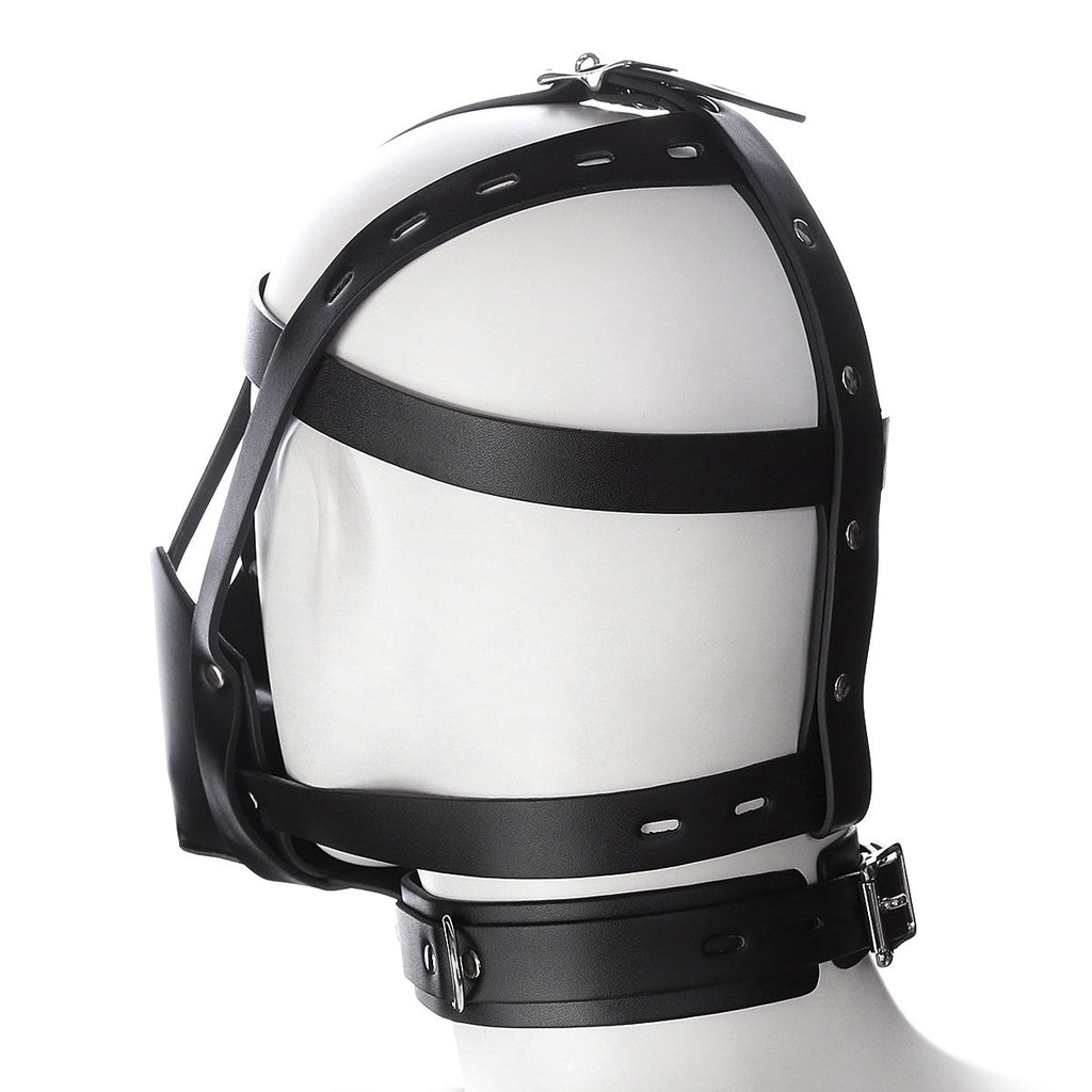Full-Face Mask BM53