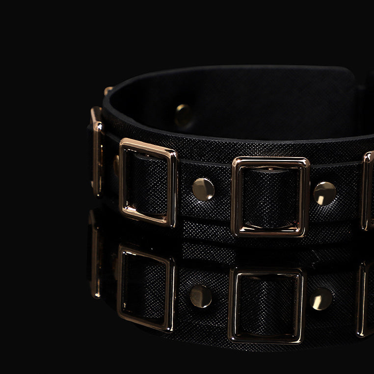 Wide Multi-Buckle Daytime Collar and Leash Set BM102