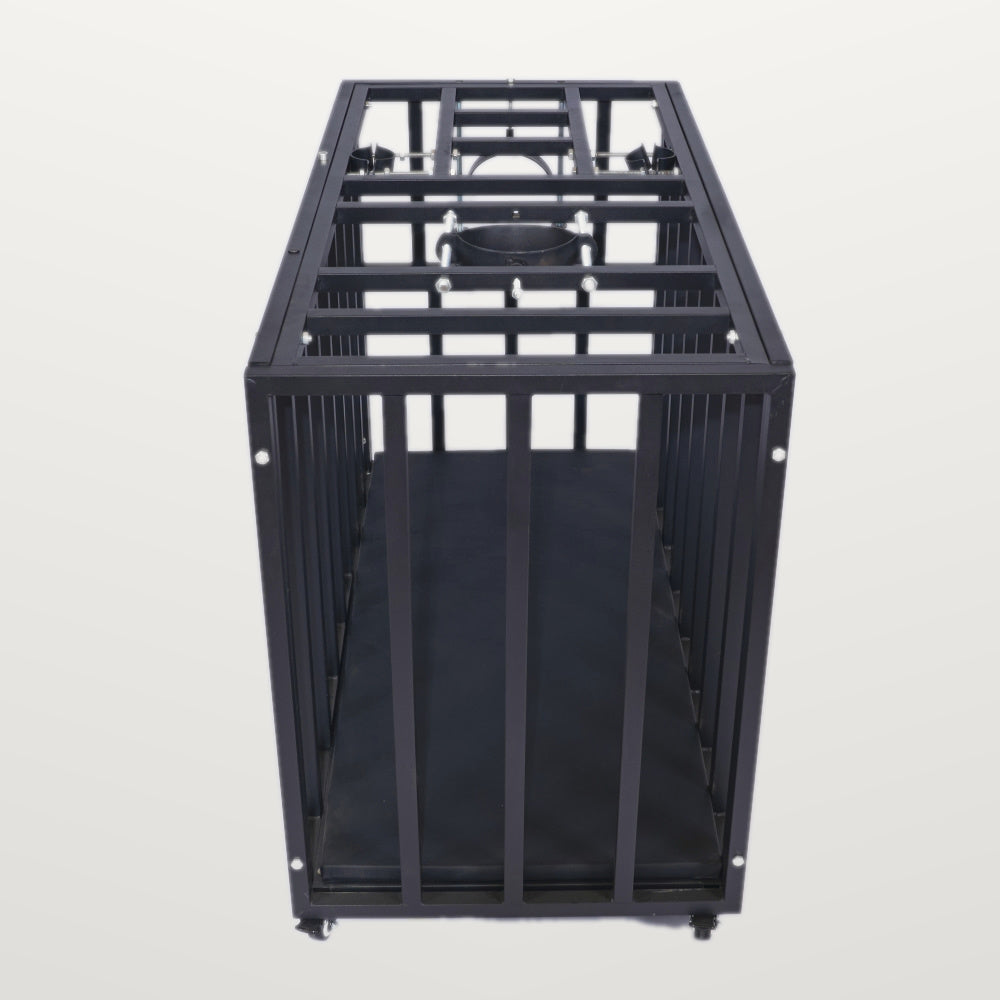 Heavy-Duty BDSM Confinement Cage