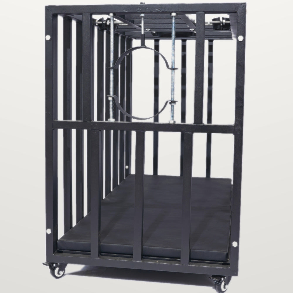 Heavy-Duty BDSM Confinement Cage