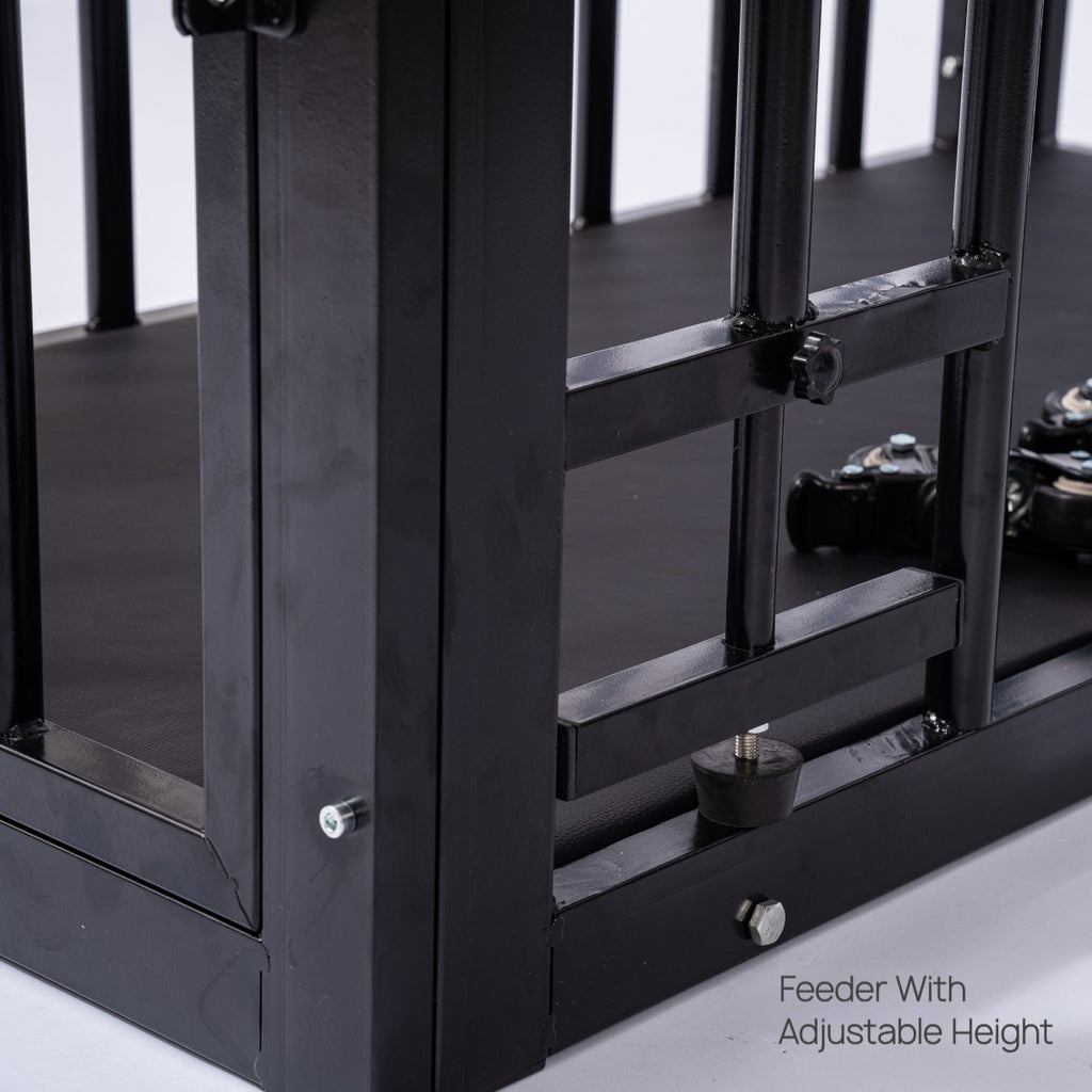 BDSM Cage Coffee Table with Clear Acrylic Top BF24