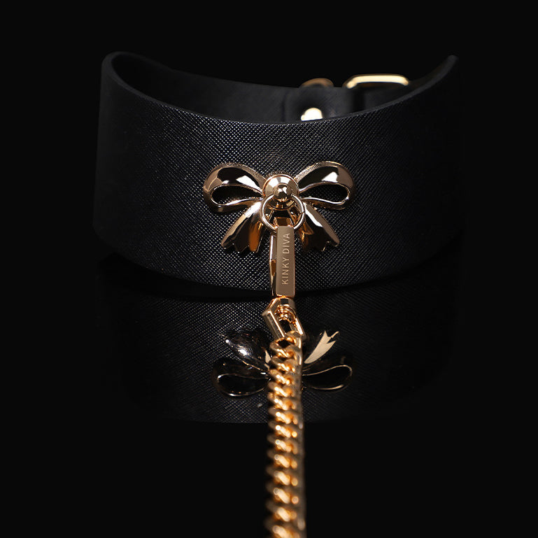 Gold PU Leather Posture Collar and Leash BM101