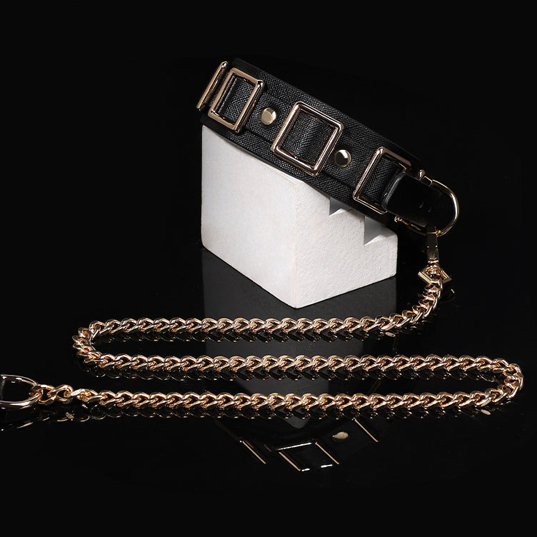 Wide Multi-Buckle Daytime Collar and Leash Set BM102