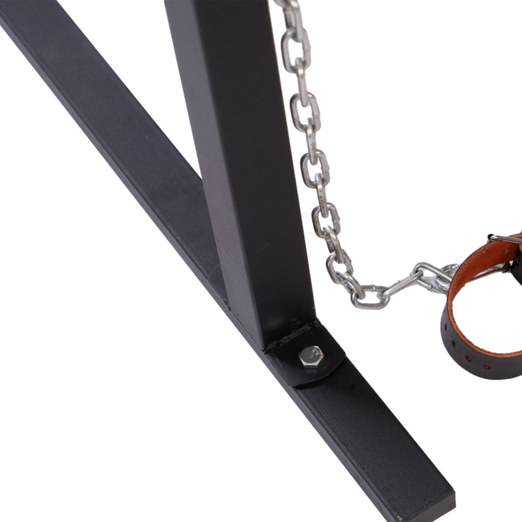 Mobile BDSM Restraint Bench with Overhead Gantry