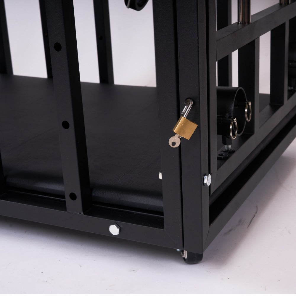 Large Extended BDSM Confinement Cage with Padded Top BF29