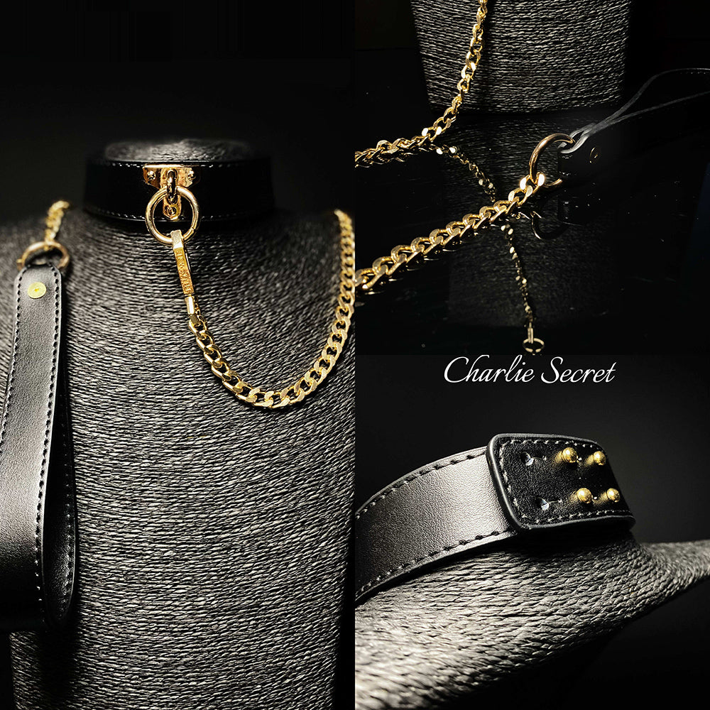 Black Gold Collar and Leash Set BM62