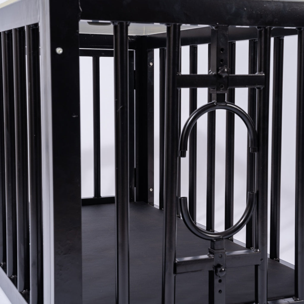 BDSM Cage Coffee Table with Clear Acrylic Top BF24