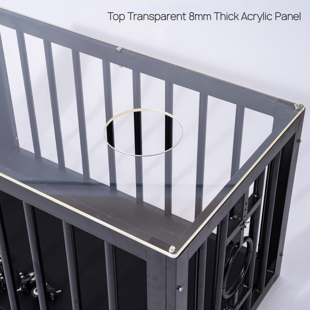 BDSM Cage Coffee Table with Clear Acrylic Top BF24