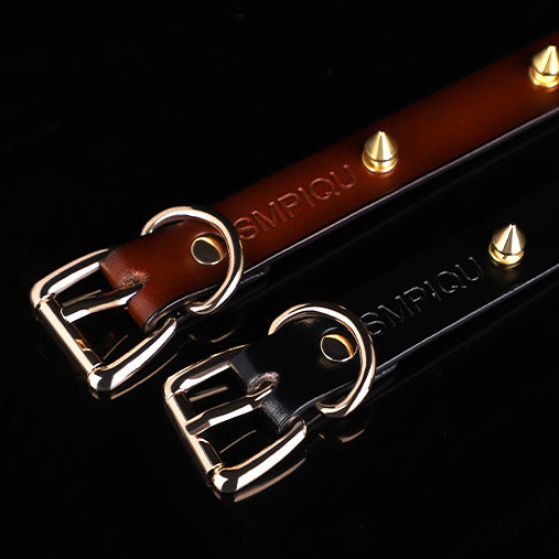 Genuine Leather Studded Day Collar