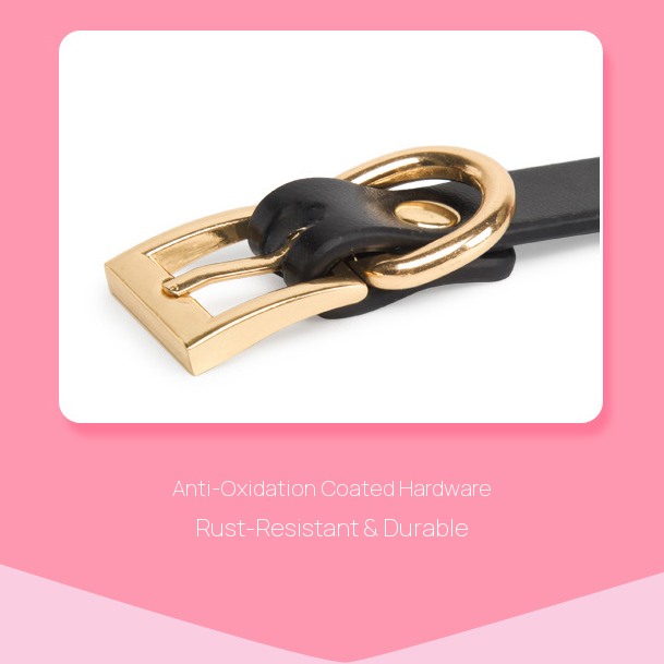 Heart-Shaped BDSM Ball Gag with Arrow-Strap Design BM118