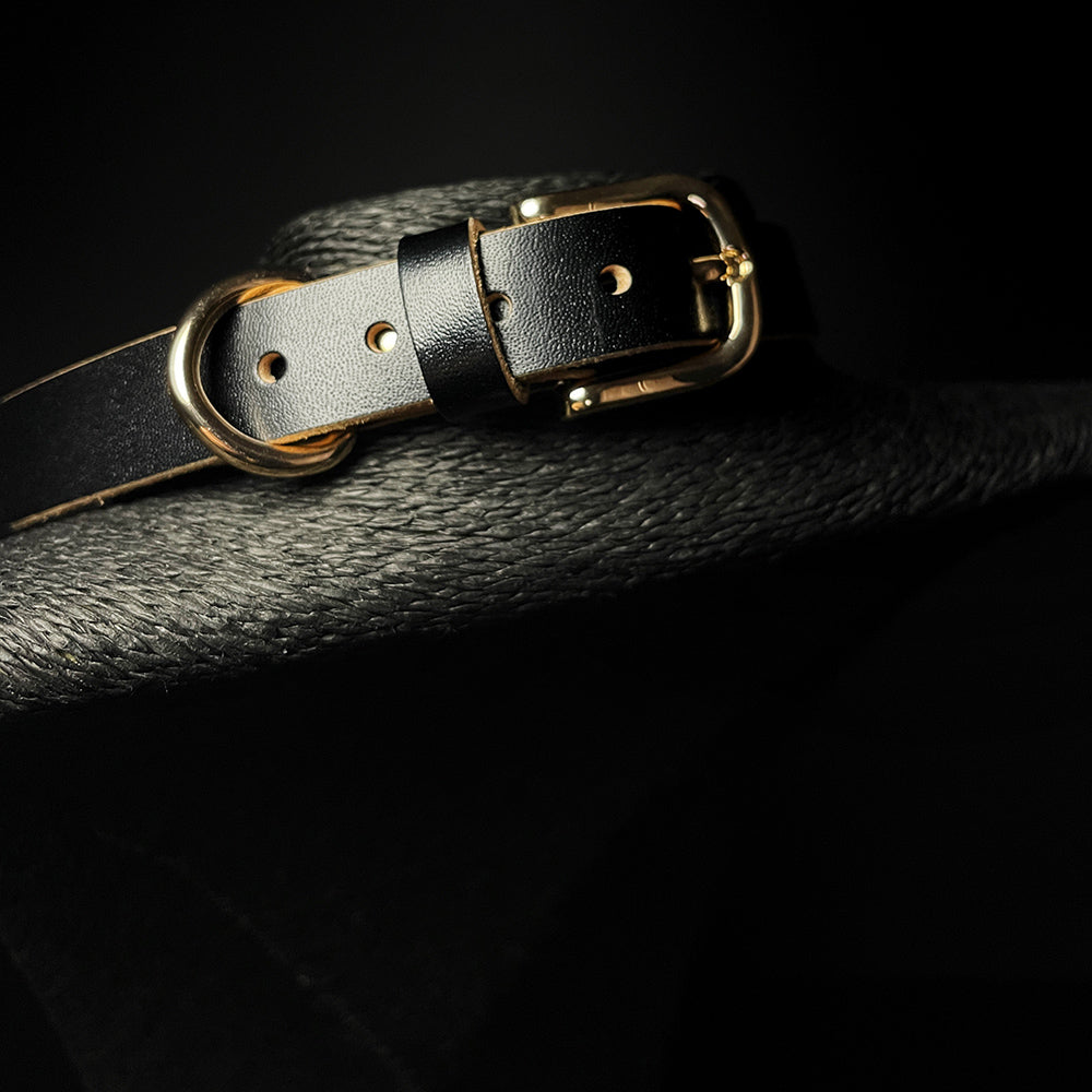 Cowhide Bell Collar and Leash Set BM61