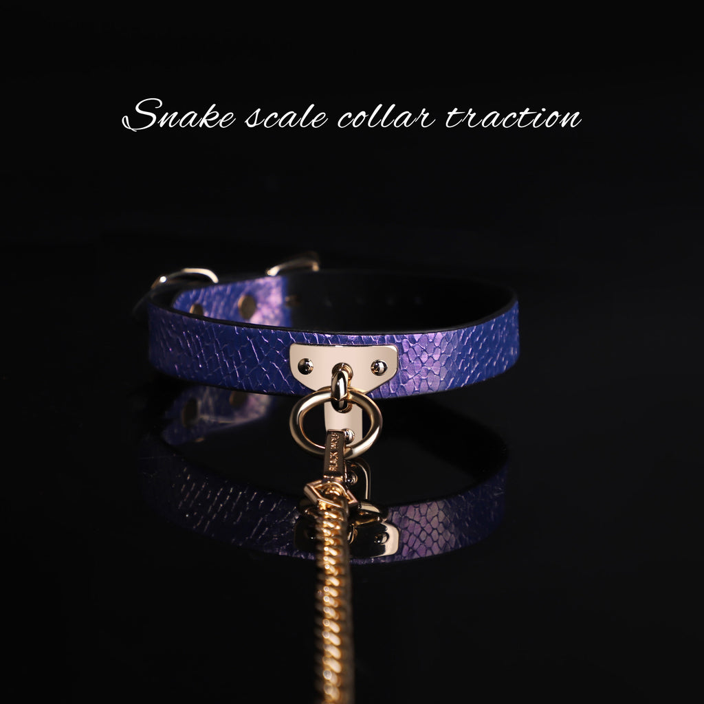 Snake Pattern Sub Collar and Leash Set BM80