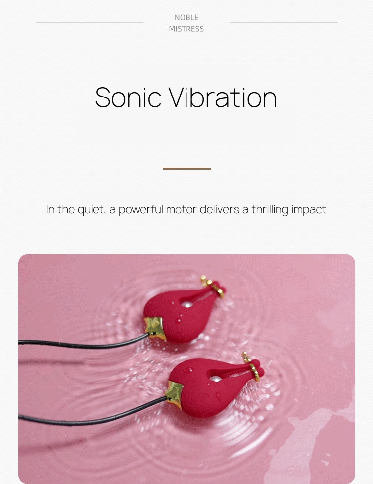 Vibrating Dual Vibrating Silicone Nipple Clamps BM40