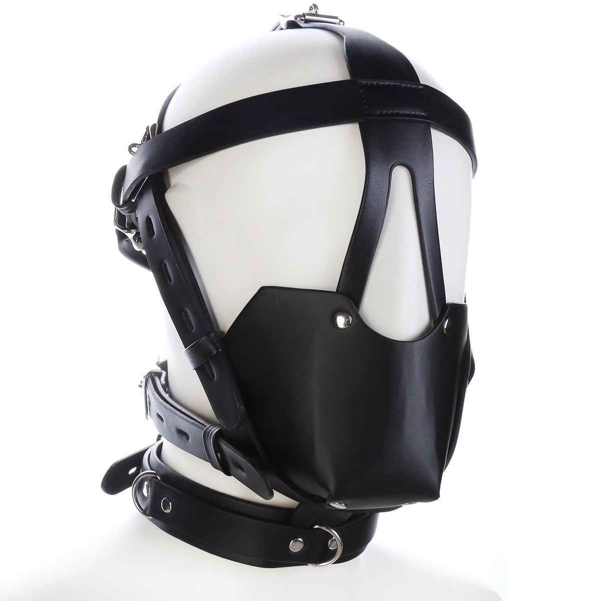 Full-Face Mask BM53