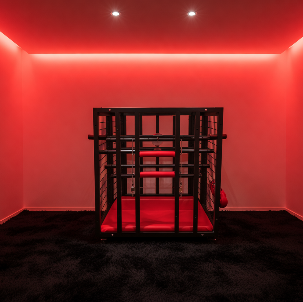 BDSM Confinement and Restraint Cage