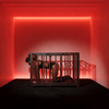 Heavy-Duty BDSM Confinement Cage