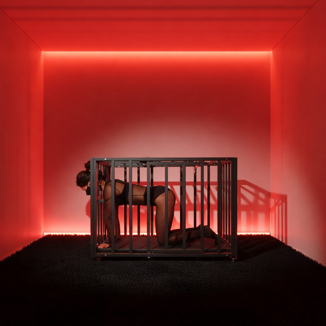 Heavy-Duty BDSM Confinement Cage