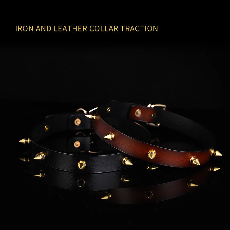 Genuine Leather Studded Day Collar