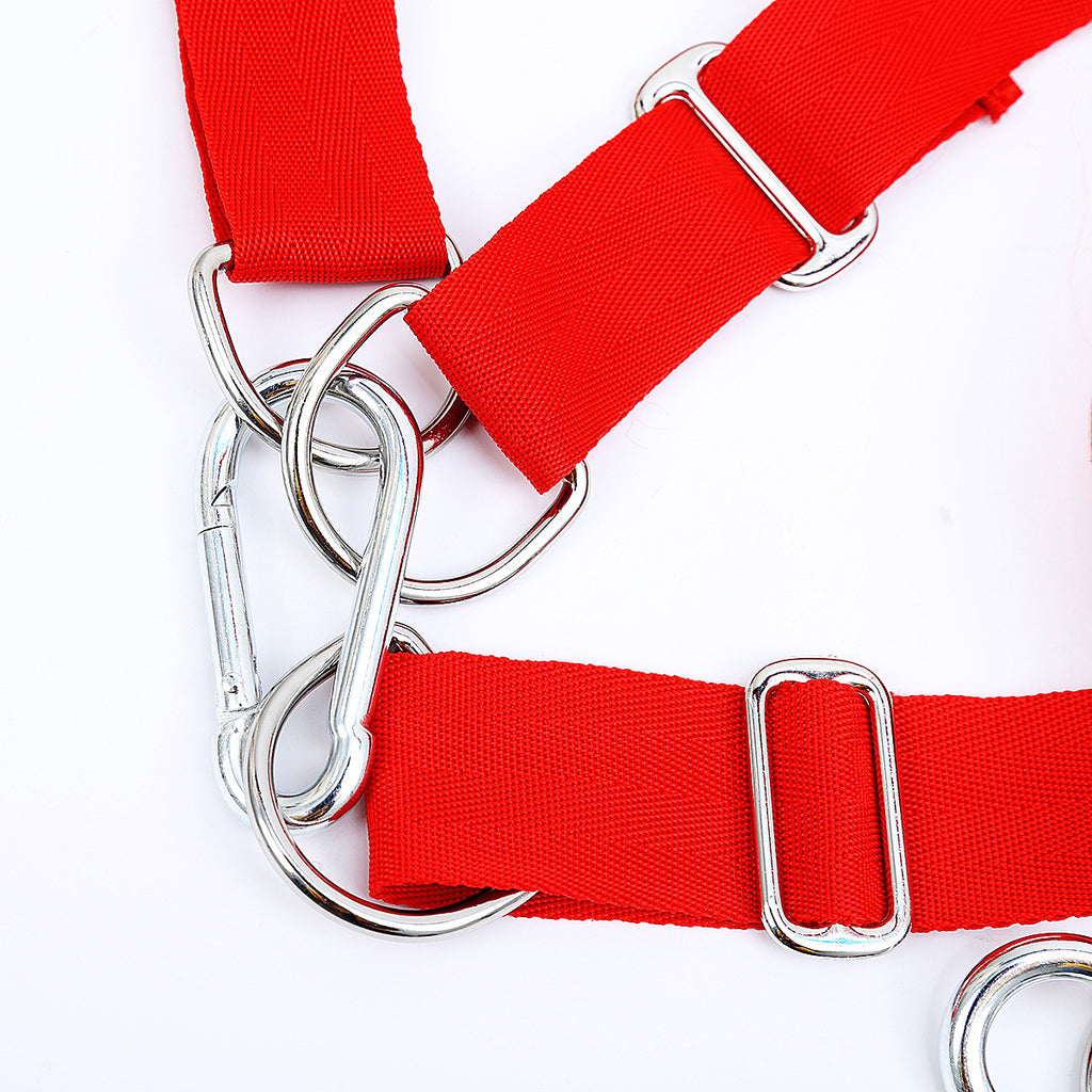 Multi-Position Sex Swing Straps