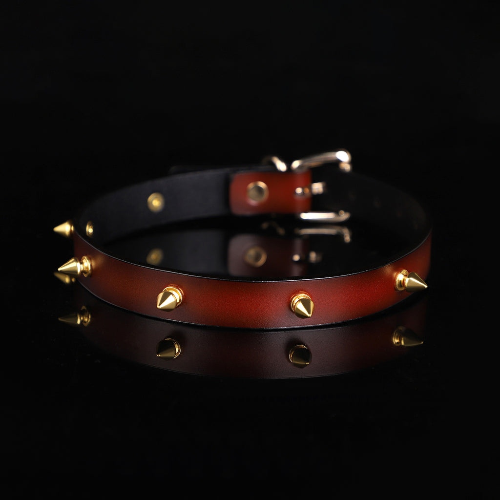 Genuine Leather Studded Day Collar