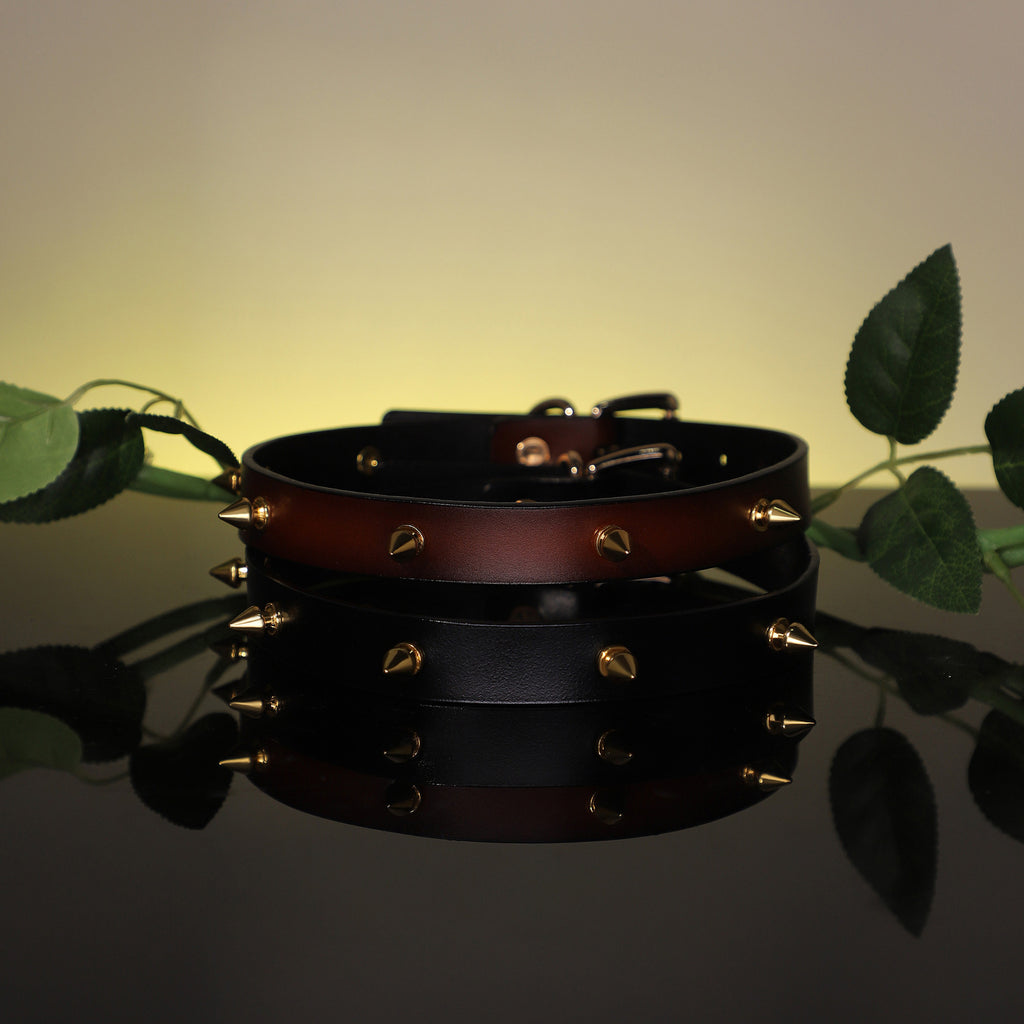 Genuine Leather Studded Day Collar