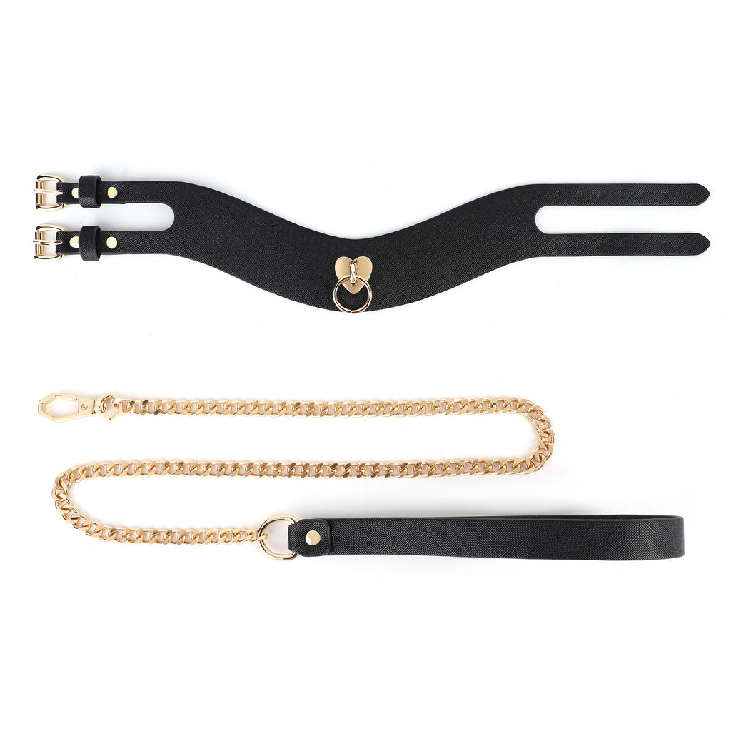 PU Leather Posture Collar and Leash BM106