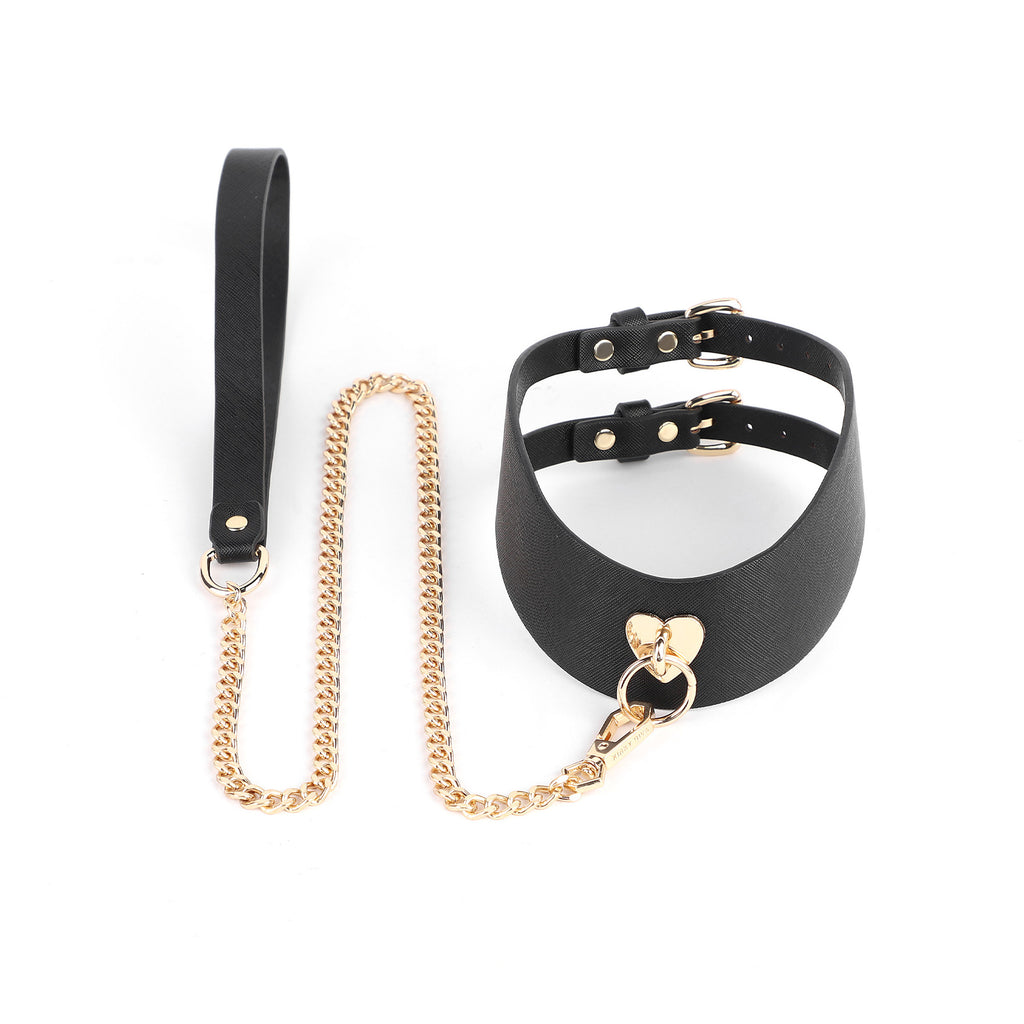 PU Leather Posture Collar and Leash BM106