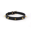 Genuine Leather Studded Day Collar