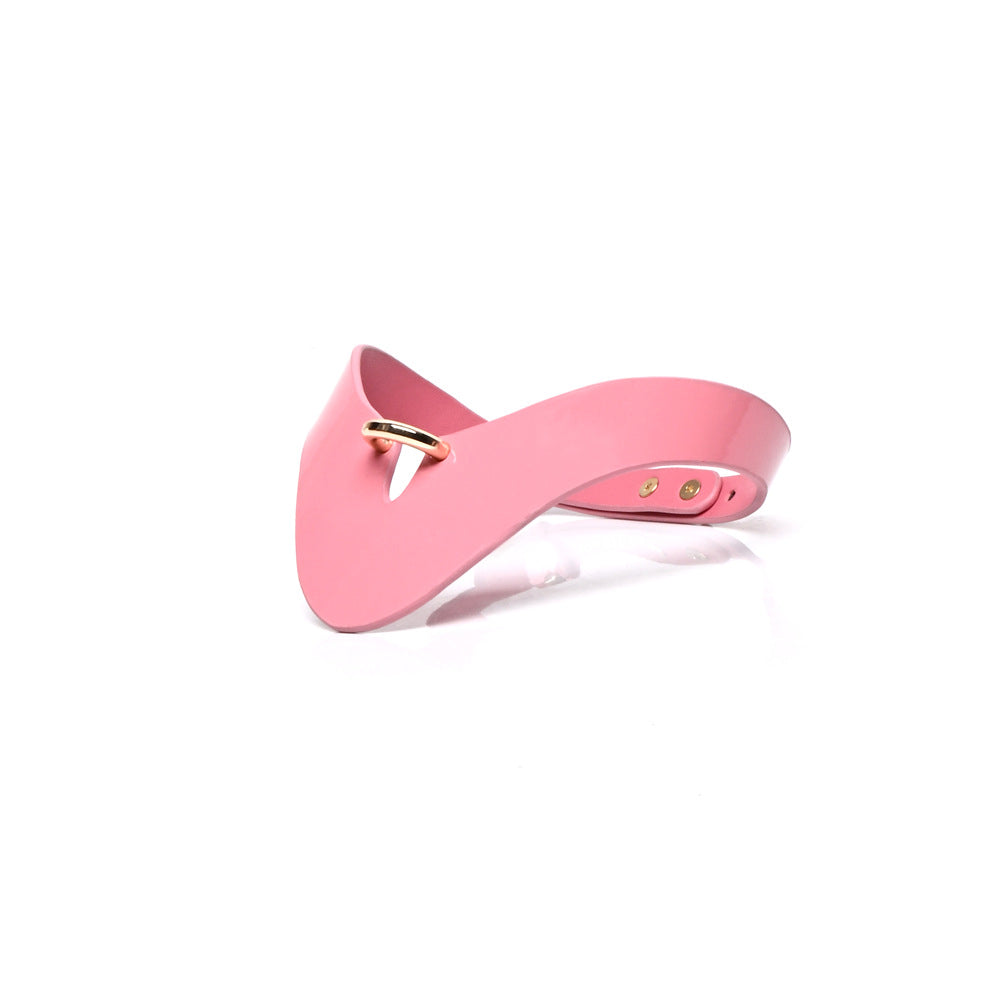Pink BDSM Collar, Leash, Wrist and Ankle Cuff Set BM117