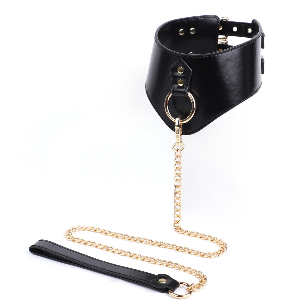 V-Shaped Double-Buckle Submissive Position Collar BM108