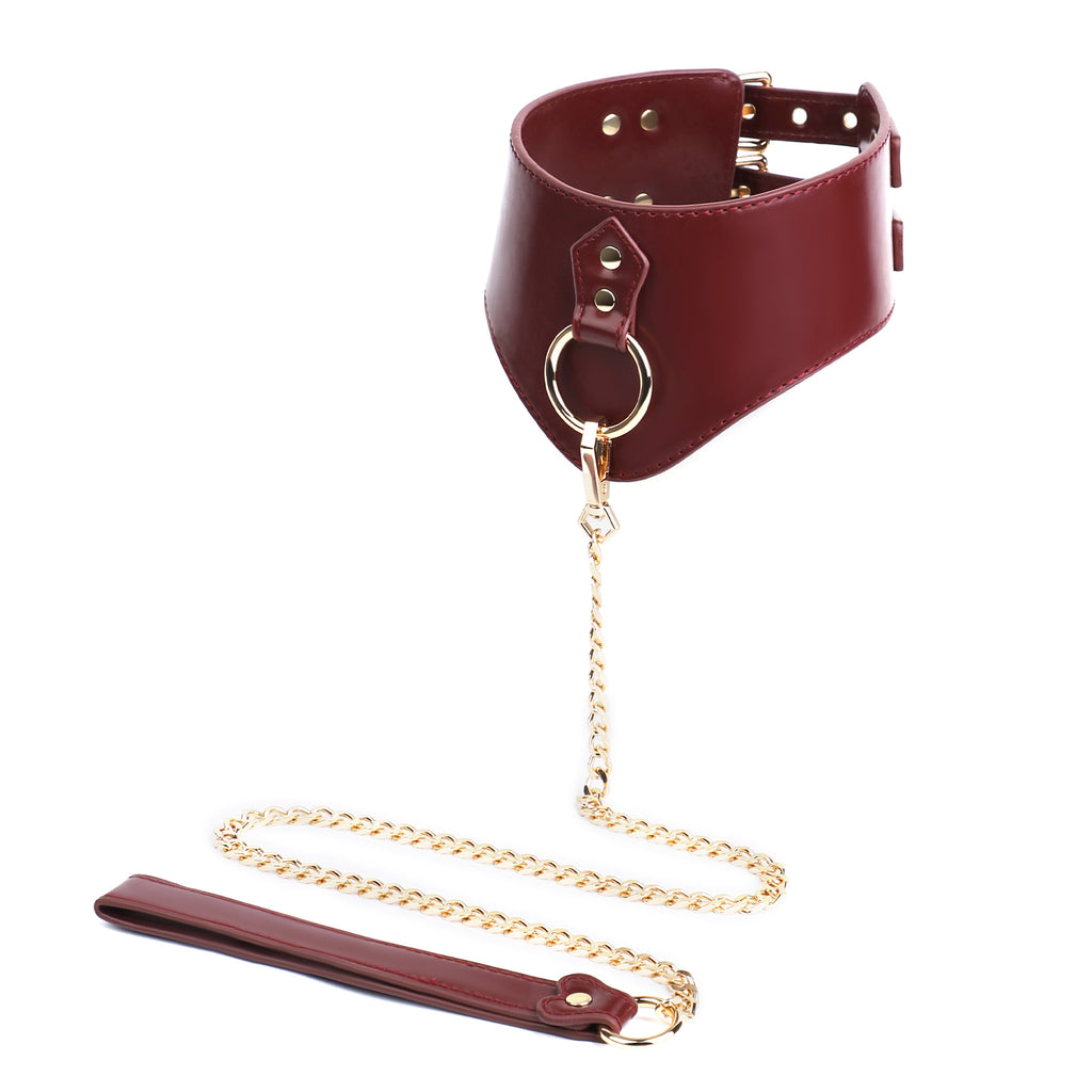 V-Shaped Double-Buckle Submissive Position Collar BM108