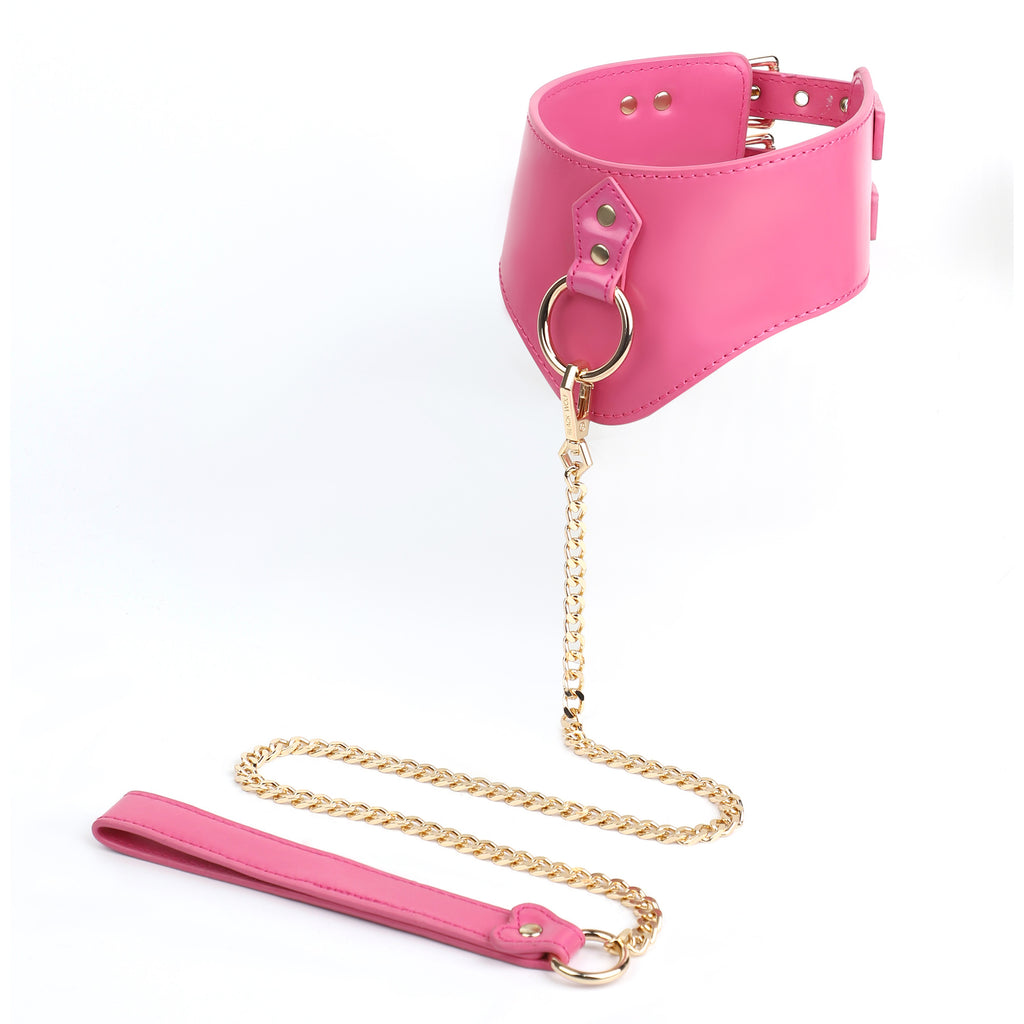 V-Shaped Double-Buckle Submissive Position Collar BM108