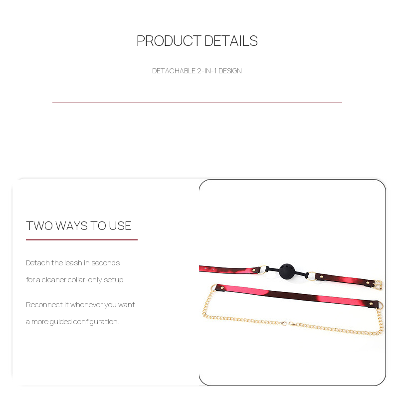 Thermochromic BDSM Ball Gag with Detachable Leash BM127