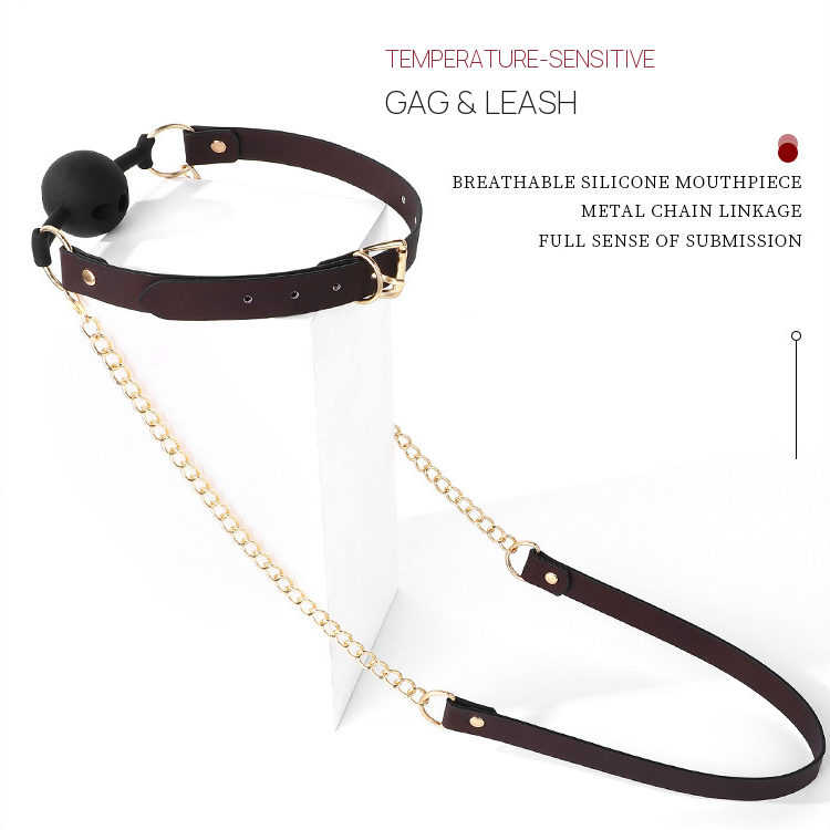 Thermochromic BDSM Ball Gag with Detachable Leash BM127